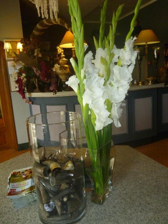 Chalet Sur Lesse Hotel Maissin Bagian luar foto
